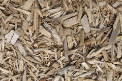 biomass boilers Ord